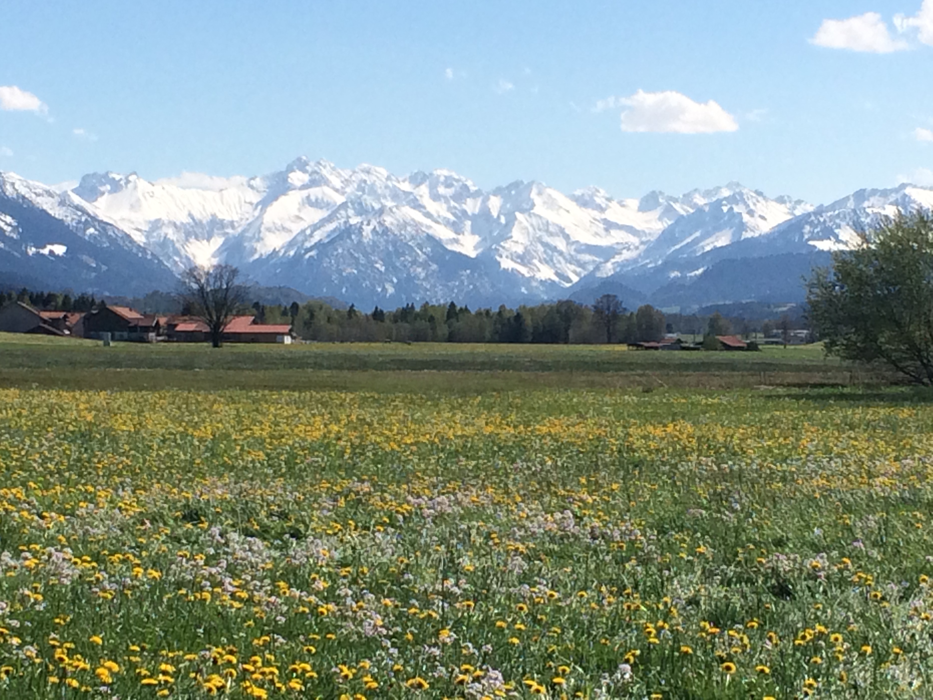 Allgäuer Alpen – Felder's Escapes
