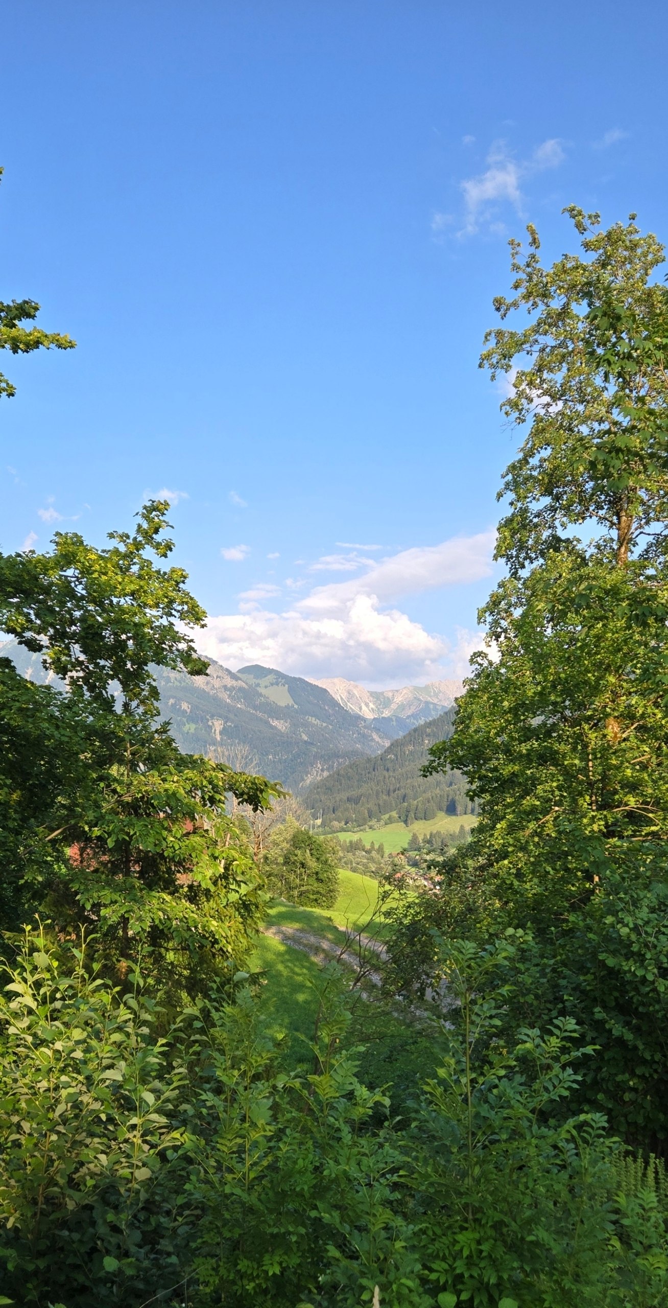 Allgäuer Alpen – Felder's Escapes