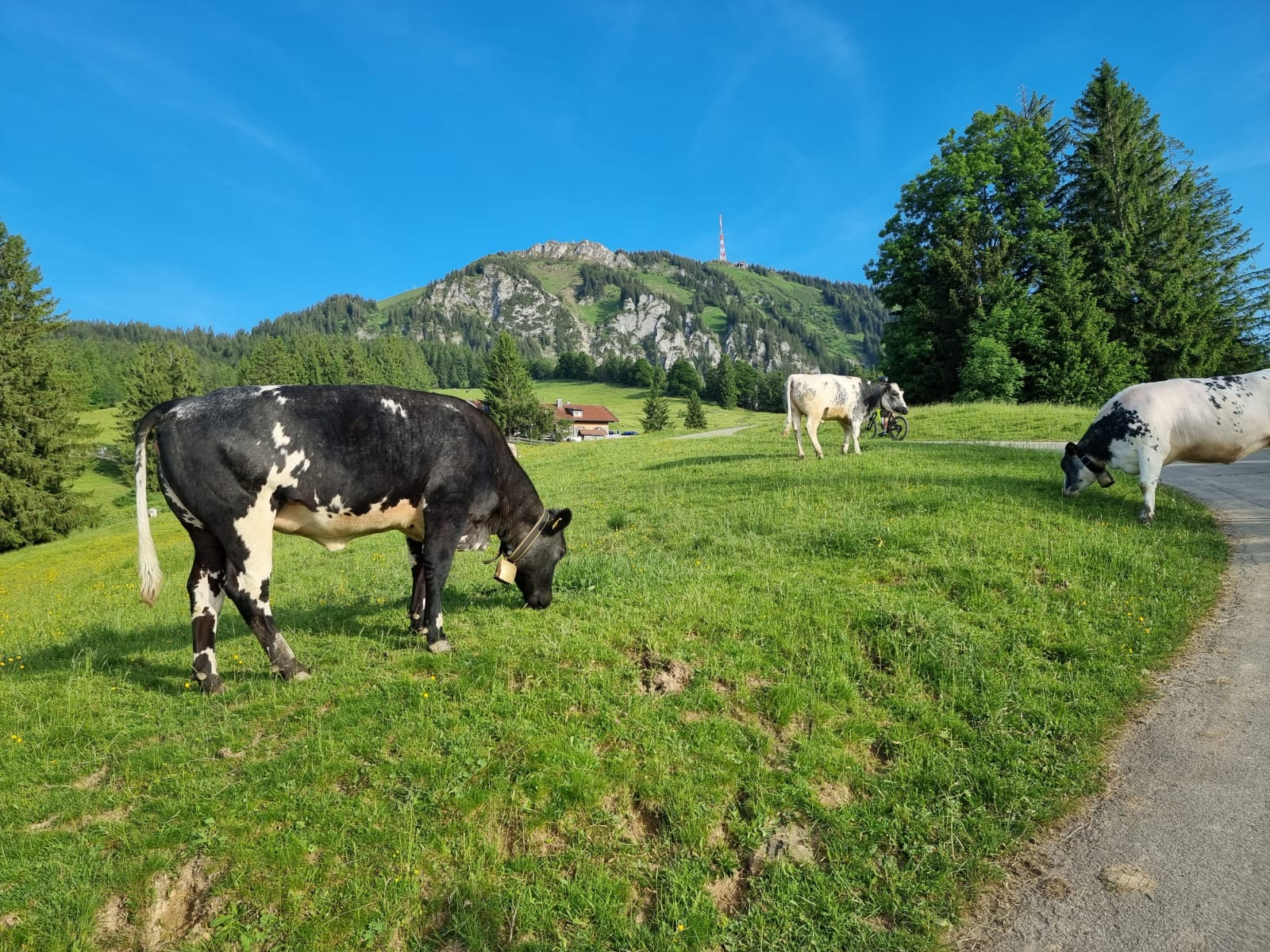 Allgäuer Alpen – Felder's Escapes