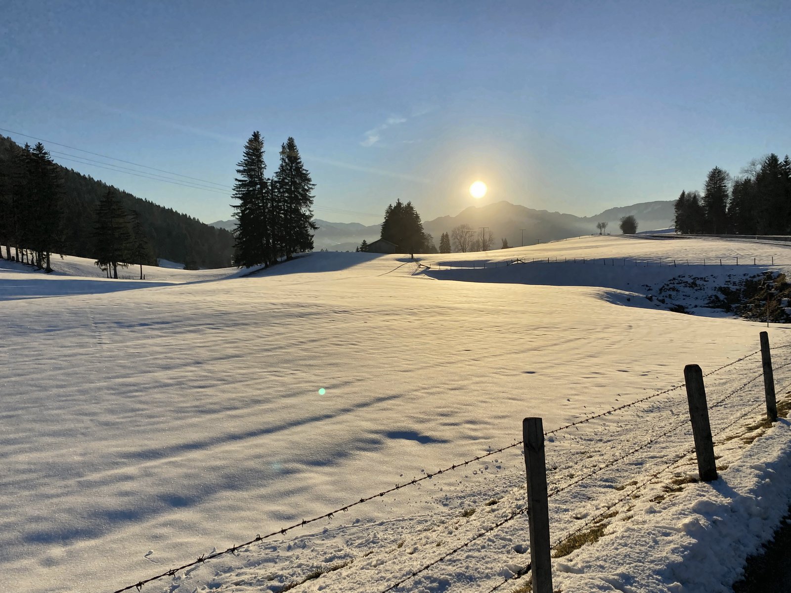 Wintersonne über verschneiten Wiesen im Oberallgäu