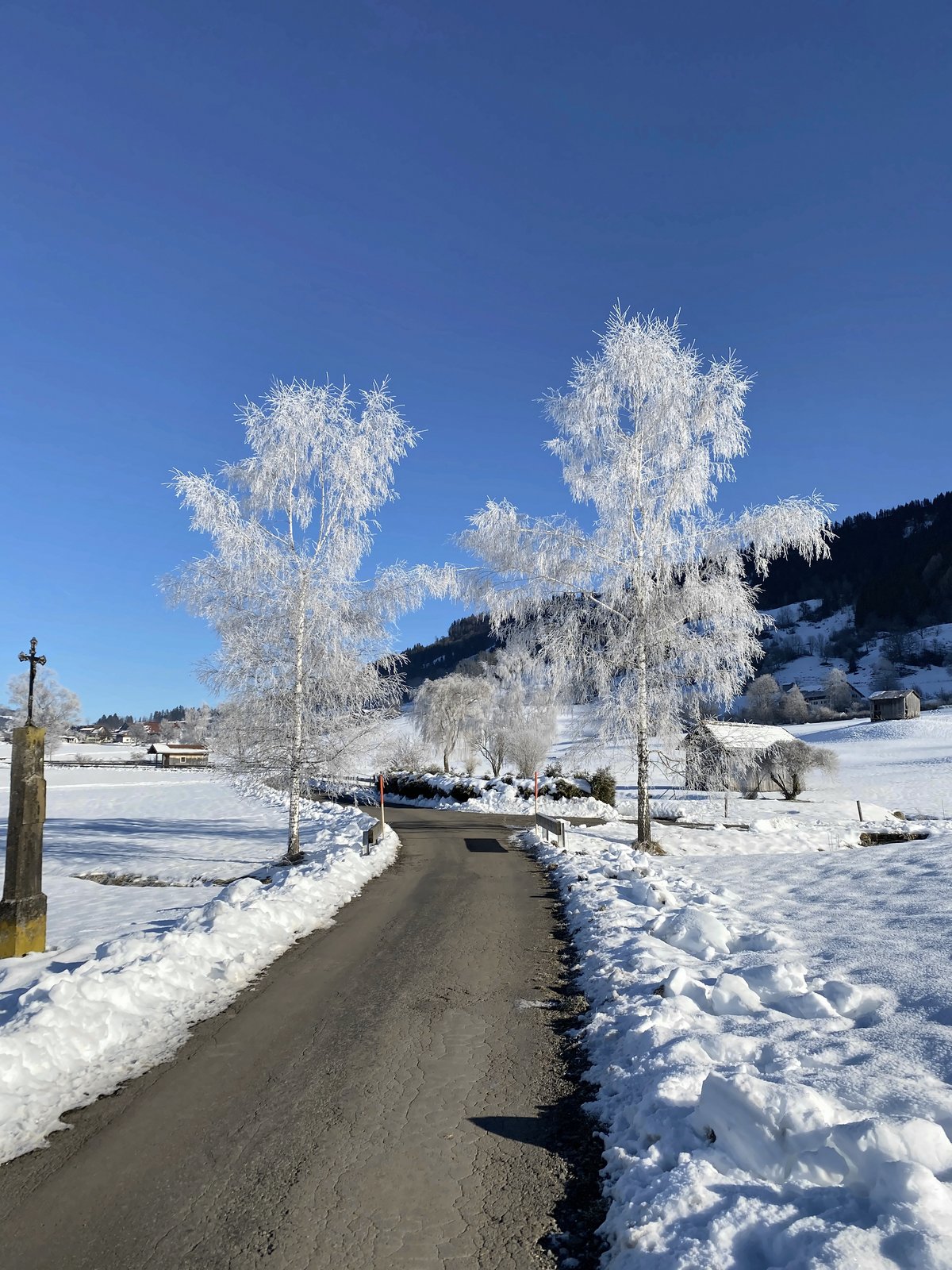 Raureif am Feldweg – Winterspaziergang im Oberallgäu